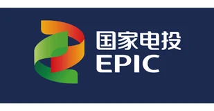 国家电投标识