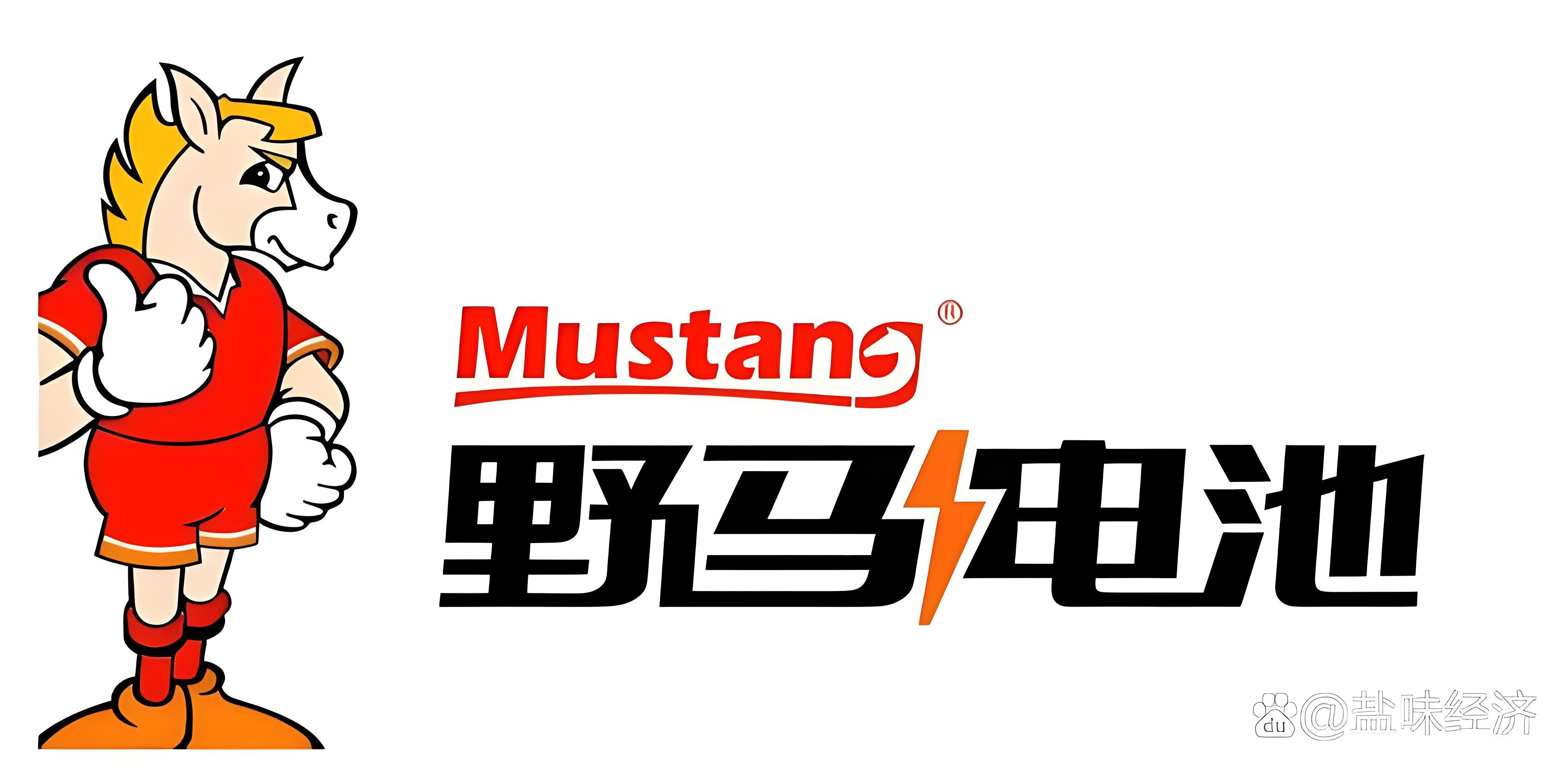 野马电池标识